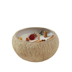 Coconut Shell Botanical Candle — candle in a natural coconut shell on white