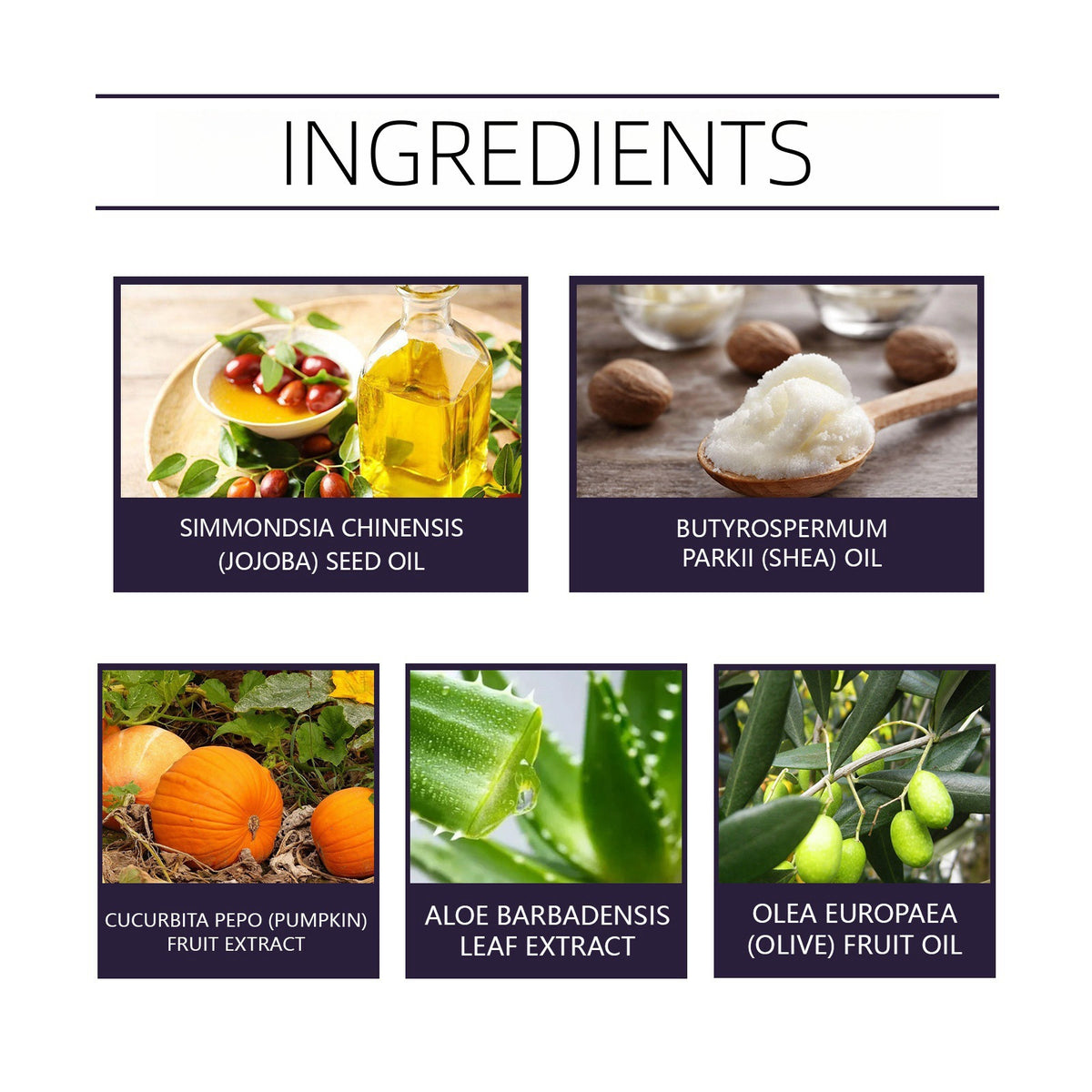 Pumpkin Spice Hand Cream — the maker’s ingredient panel